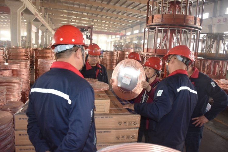 旺财28官网-追求健康,你我一起成长