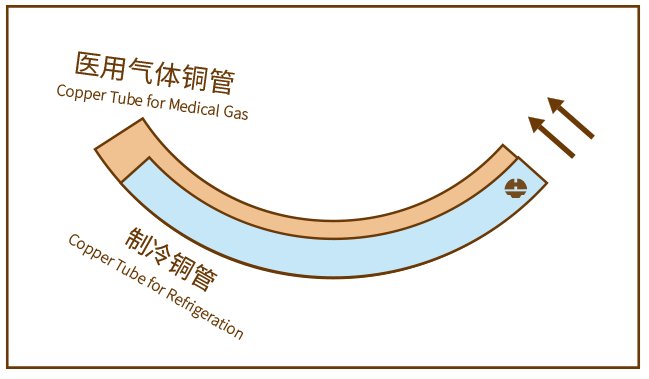 旺财28官网-追求健康,你我一起成长