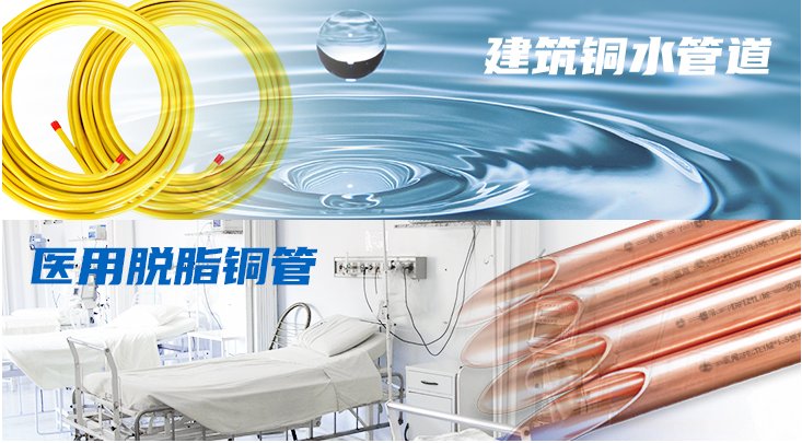 旺财28官网-追求健康,你我一起成长