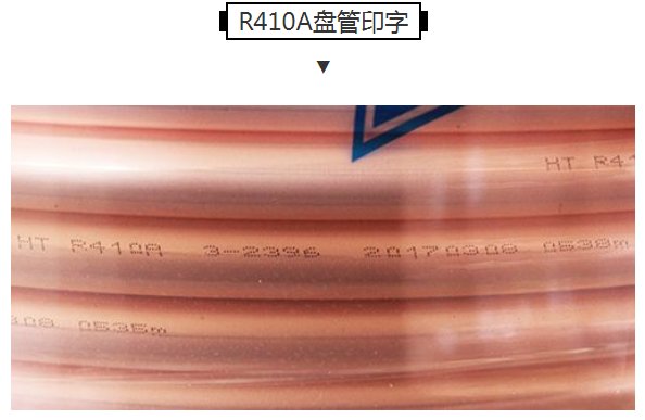 旺财28官网-追求健康,你我一起成长
