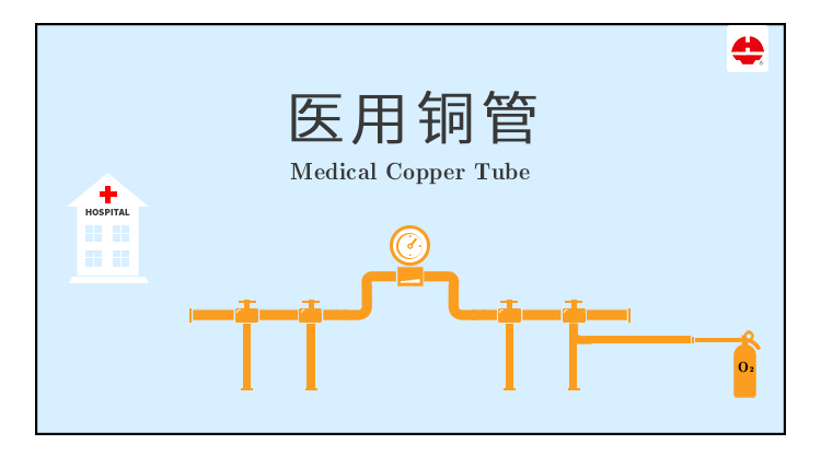旺财28官网-追求健康,你我一起成长
